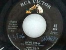 LENNY MILES 45 Living Dream w/ Donna's Gone RCA northern soul EX great copy MP3