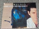 BRIAN WILSON SELF TITLED SOLO LP PRESSED ON 180 GRAM VINYL