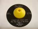 45  Northern Soul  The Ballad's  I Can't See Your Love (Parts1&2)  VJ  VG   Rare
