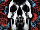 DEFTONES: DEFTONES (LP vinyl *BRAND NEW*.)