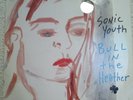 Sonic Youth Bull in the Heather 10