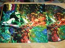 Led Zeppelin - Kashmir - Ltd Edit Led Zeppelin Fanclub Mexico Picture Disc TOP