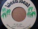 Paul Davidson ?– By My Side (Weed Beat ?– WB 090)