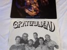 1989 GRATEFUL DEAD 