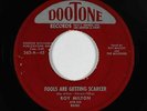Blues R&B 45 - Roy Milton - Fools Are Getting Scarcer - Dootone - mp3