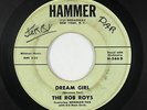Doo-Wop 45 - Rob Roys ft. Norman Fox - Dream Girl - Hammer - mp3