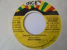 SHARON FORRESTER Love Don't Live here Anymore DICE Soul Cover Reggae 7
