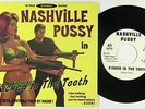 Punk 45 - Nashville Pussy - Kicked In The Teeth - Scooch Pooch - VG+ mp3