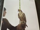 Dave Hause Devour 2LP Limited Color Vinyl, With CD