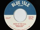 Hard Rock Psych Fuzz 45 - Fear Cay - Back In The U.S.A. - Blue Isle VG+ obscure