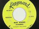 Garage Surf 45 - Blue Echoes - Moonride - Raynard - mp3