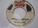 THE CONSICOUS MINDS African Paradise SPLASH Nice  Roots Reggae 7