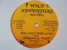WINSTON FINCH You Can't Hide WILD Digi Ragga Roots Reggae 7