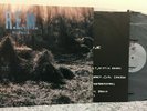 R.E.M. ?– Murmur Label: I.R.S. Records ?– SP 70604, LP W/SLEEVE VG+