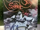 SONIC YOUTH - EVOL LP vinyl record