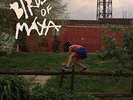 BIRDS OF MAYA - VALDEZ