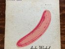 VELVET UNDERGROUND & NICO Vinyl LP Record Andy Warhol Banana Early Stereo Press
