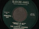 CURTIS LIGGINS INDICATIONS: what it is? / funky monkey right on KAYCEE-SOUL 7