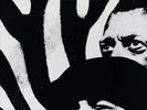 ZEBRA NEW VINYL