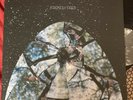Friendly Fires - S/T - XL - XLLP 383 - RARE UK INDIE ROCK LP