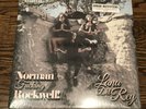LANA DEL REY Norman Fucking Rockwell  NFR 2xLP Pink Vinyl Urban Outfitters UO