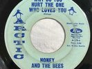 HONEY AND THE BEES Why Do You Want To Hurt/Go Now ARTIC SOUL 45 HEAR