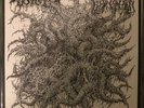 Spectral Voice / Blood Incantation Split 7 Morbid Angel Immolation Necrot Evoken