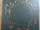 C418 Minecraft Volume Beta 2x FIRE VINYL LP Record  video game soundtrack score