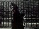 Neil Young - After the Gold Rush NEW SEALED Southern Man, Only Love Can Break