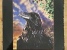 The Stranglers The Raven Lenticular Holographic Cover Records Vinyl New Wave UK