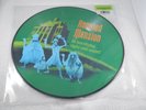 Haunted Mansion Disney Parks Attraction Soundtrack Picture Disc Vinyl Record NEW