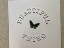 The Stone Roses Beautiful Thing First Press Vinyl