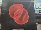 PETER GABRIEL 200 GRAM SCRATCH MY BACK TEST PRESS VINYL LP SEALED RARE GENESIS