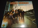 LYNYRD SKYNYRD (Pronounced Leh Nerd Skin Nerd) Vinyl Record MCA 1973 (Charity)