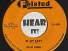 50s Rockabilly Bopper 45 DAVID ORRELL Be My Baby / You're The One FELSTED hear