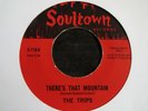 THE TRIPS - There's That Mountain c/w Love Can't Be Modernized - Listen