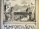 Mumford & Sons 'Love Your Ground' 10