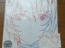 Hikaru Utada One Last Kiss Limited Edition Analog LP Vinyl Evangelion w/sticker