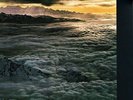 Santana - Moonflower 2 x LP 180 Gram Vinyl Album - SEALED NEW AUDIOPHILE RECORD