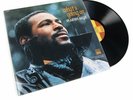 Marvin Gaye What's Going On Sealed Gatefold 180g Vinyl LP