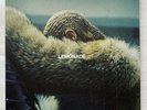 Beyonce - Lemonade - 2 x Yellow Vinyl LP