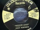 Freedom Chant - Dave Robinson