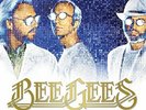 BEE GEES - Timeless Time All Time Greatest Hits (2018) 2 LP