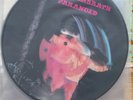 Black sabbath paranoid  picture disc nep6003  ozzy osbourne toni iommi