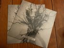 Spiritbox - Self Titled EP - Vinyl LP - Pale Chord Records - BRAND NEW