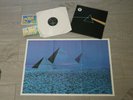 Pink Floyd the dark side of the moon White Vinyl 1C 064-05 249 Limited Edition