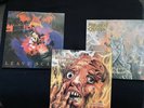 3 LP‘s Von Dark Angel, Demolitian Hammer, Malvolent Creation zu verkaufen