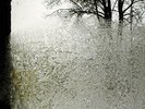 Bon Iver - For Emma Forever Ago | Vinyl LP