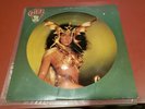 CHER - TAKE ME HOME - LIMITED EDITION - PICTURE DISC - 12