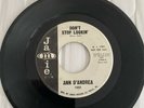 ORIGINAL NORTHERN SOUL DJ Ann D’Andrea - Don’t Stop Looking